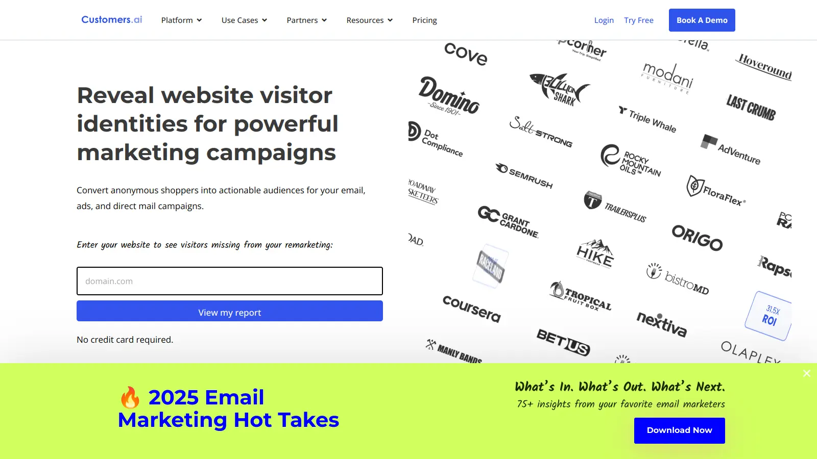 Customers.ai screenshot