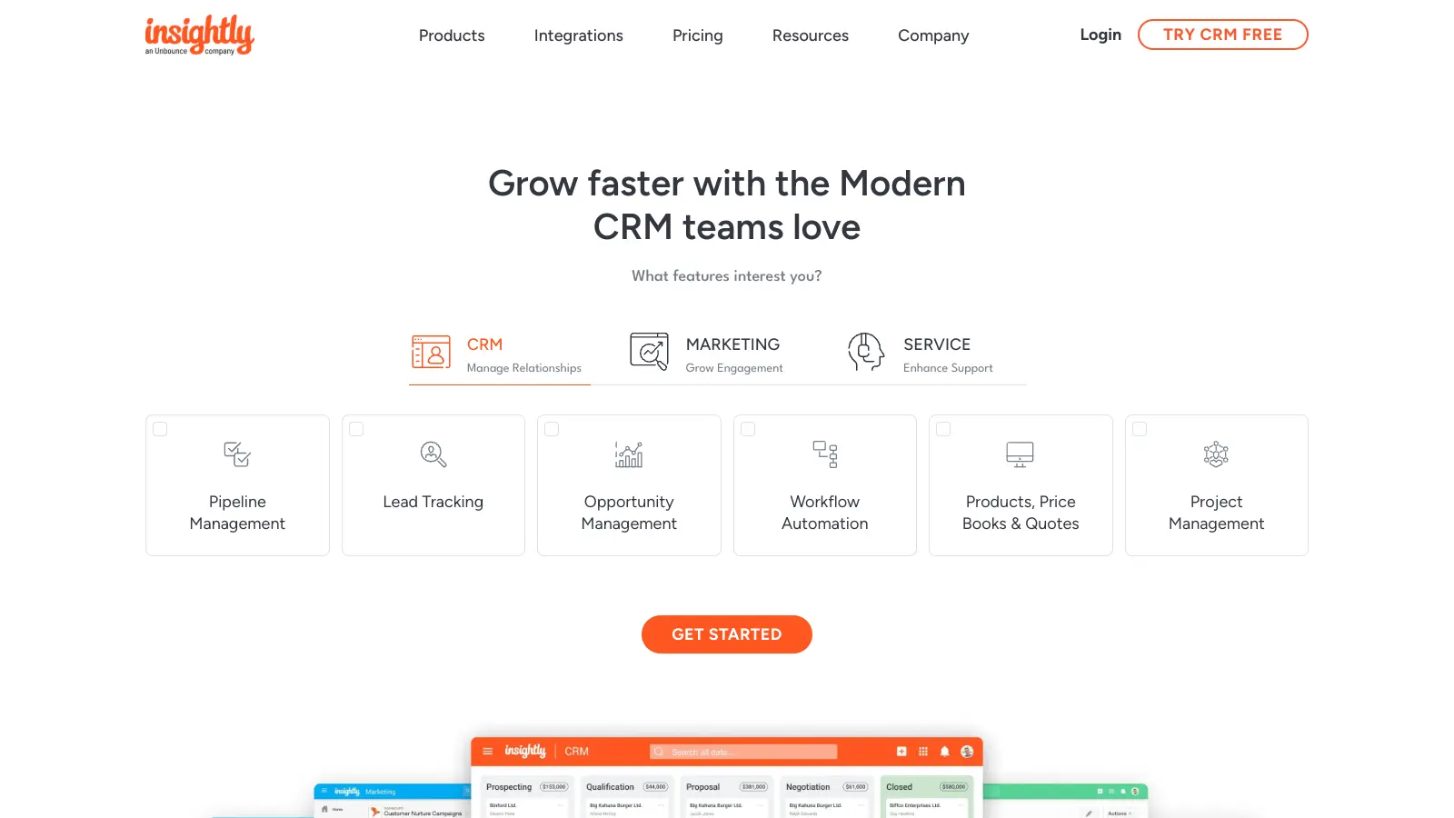 Insightly screenshot